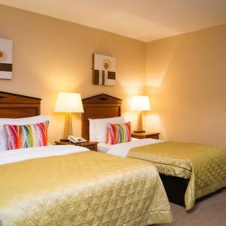 Davitts 3* كينمير